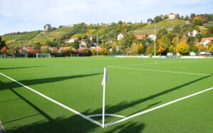Stadion Vineyard