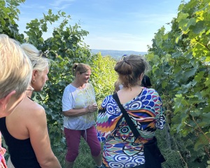 Visites guidées